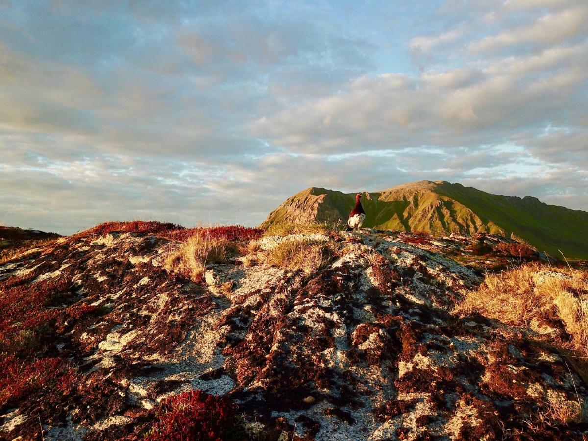 Lofoten Ocean View - Sandoy Gard Sand  Luaran gambar